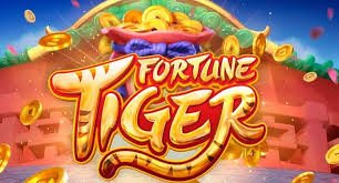 betmgm bet